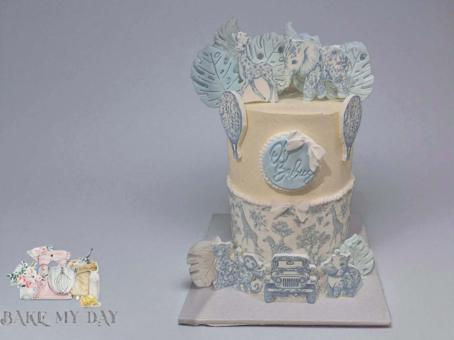 Little Explorer Toile Cake
